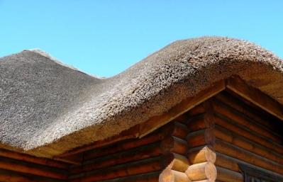 Способы утепления камышом стен и крыш домов Применение метелок камыша в строительстве