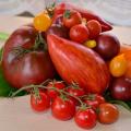 Как правильно и когда сажать помидоры на рассаду по лунному календарю Посадка томатов на рассаду в апреле